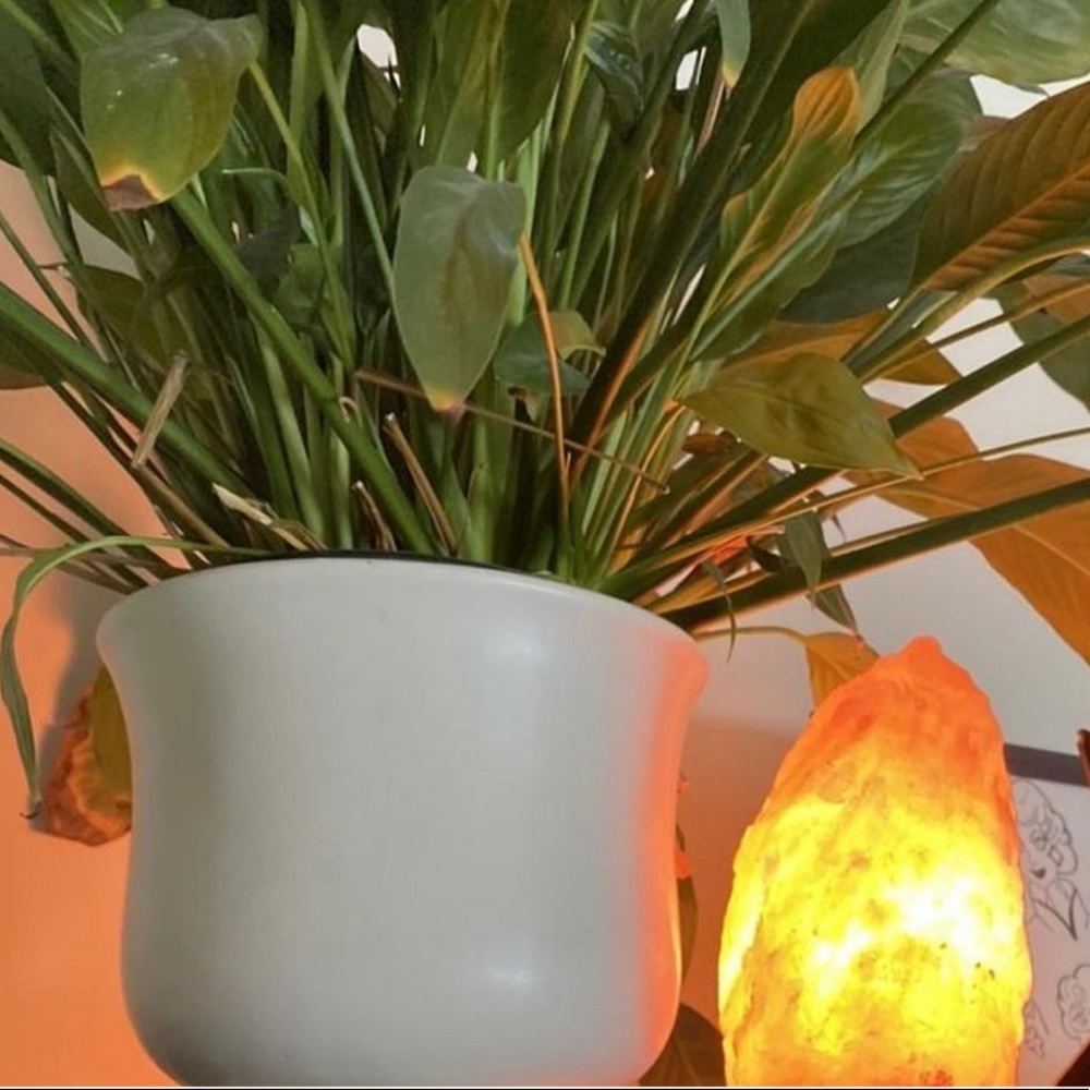 Himalayan Salt Lamp (Small) - Picture 8 of 11
